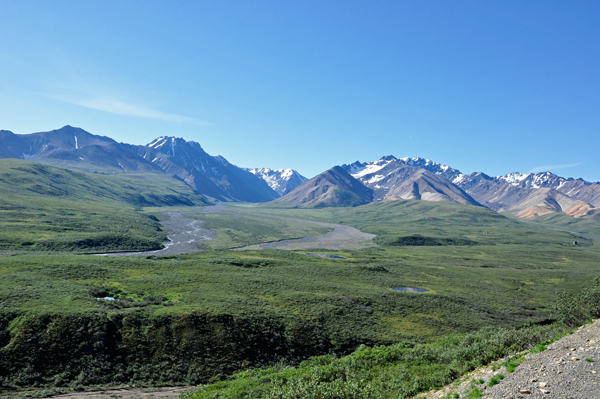 Denali National Park scenery